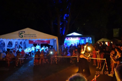 DSC00031