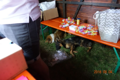 DSC00138