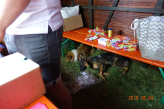 DSC00140
