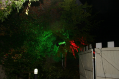 dino-hallow.-073