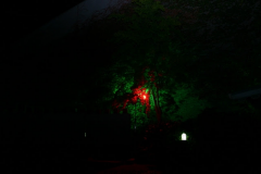 dino-hallow.-075