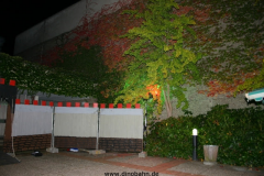 dino-hallow.-076
