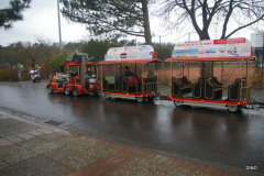 08-IMGP5767
