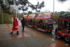 13-IMGP5772